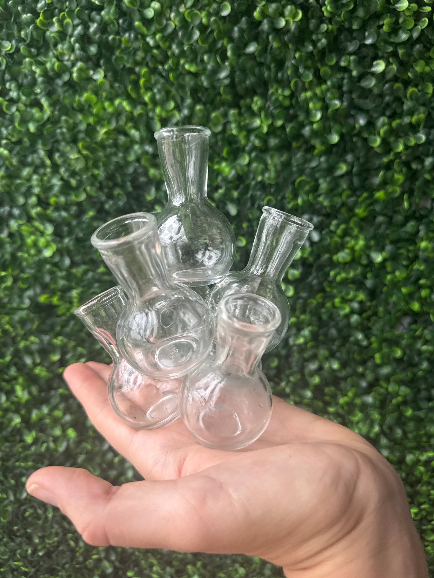 Vintage propagation station glass