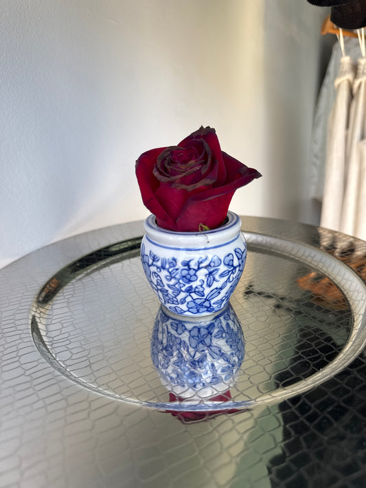 Lil plant cup  - Succulent Bar