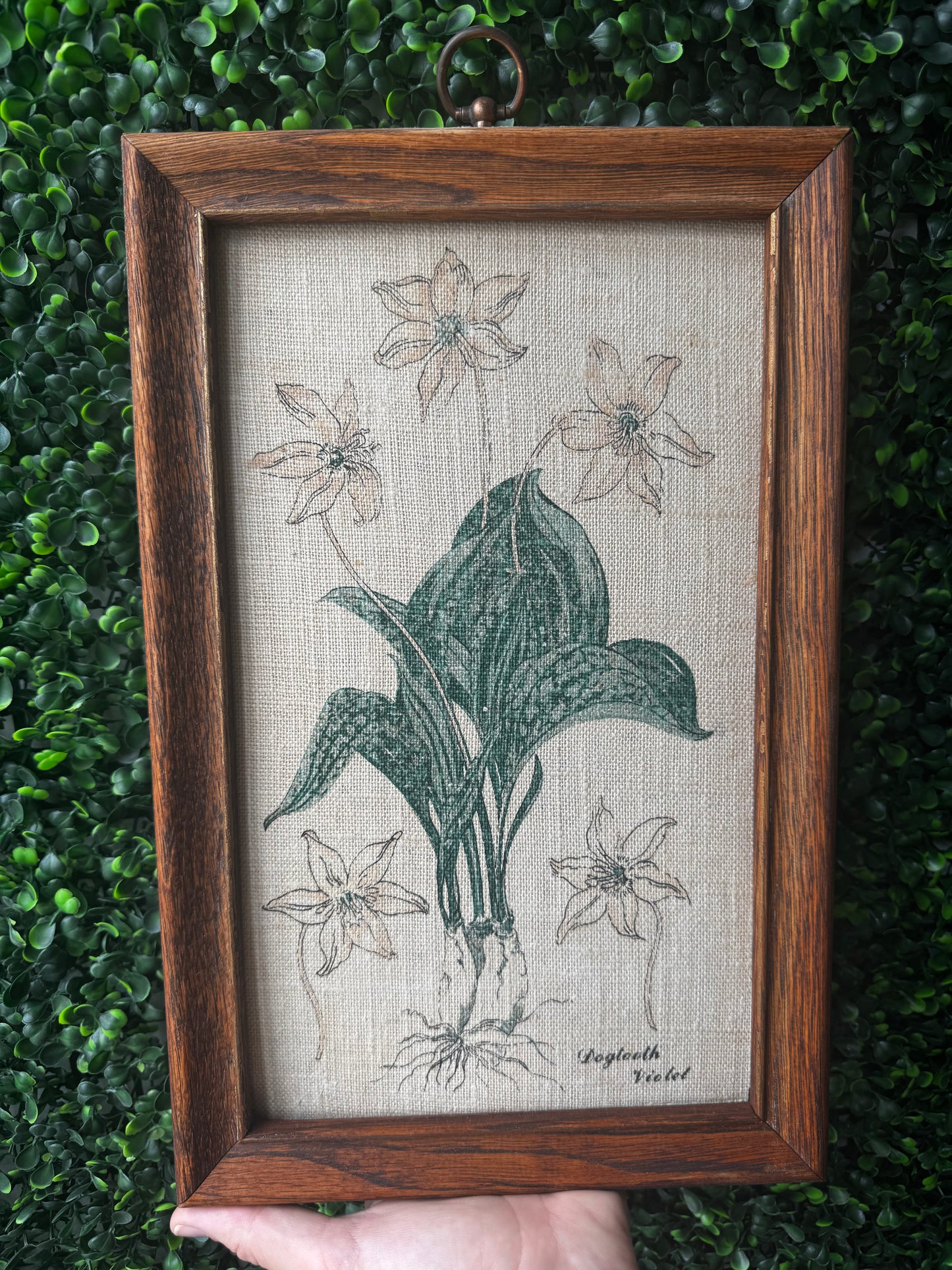 Vintage linen print in wood frame