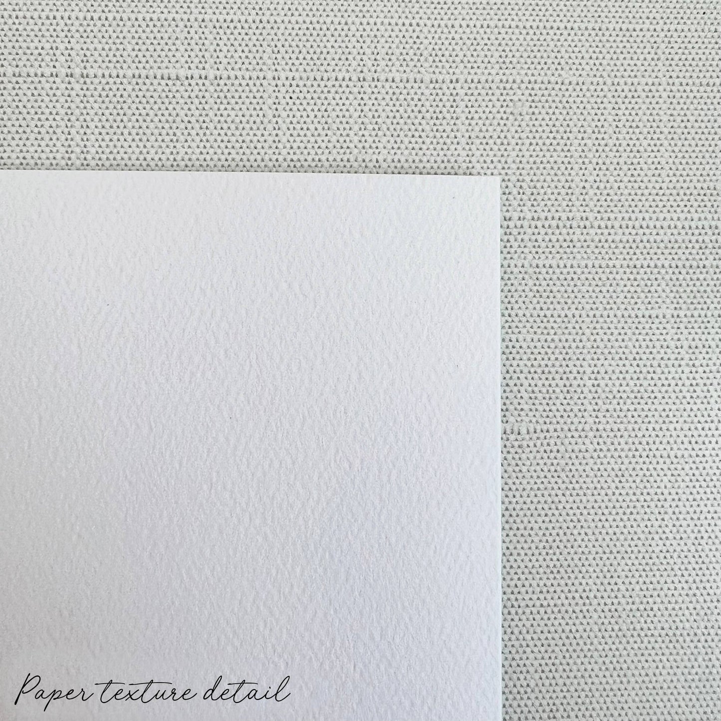 Happy Birthday Doggies card