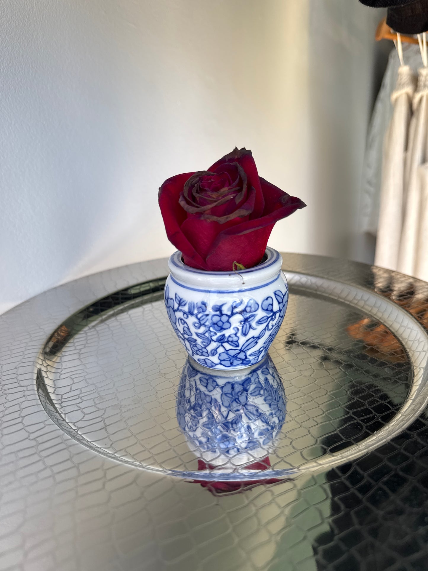 Lil plant cup  - Succulent Bar