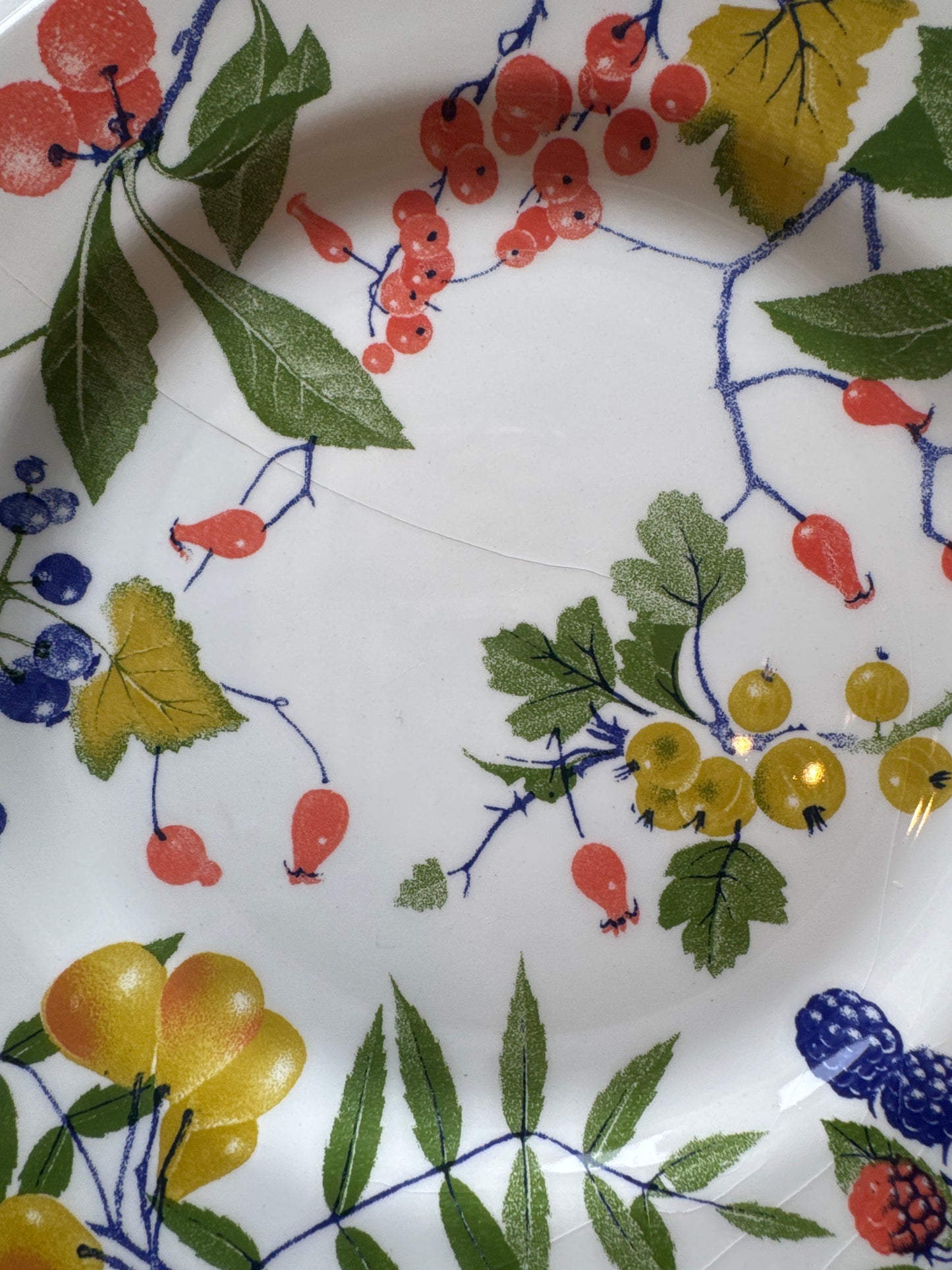 Vintage Made in Italy Plates