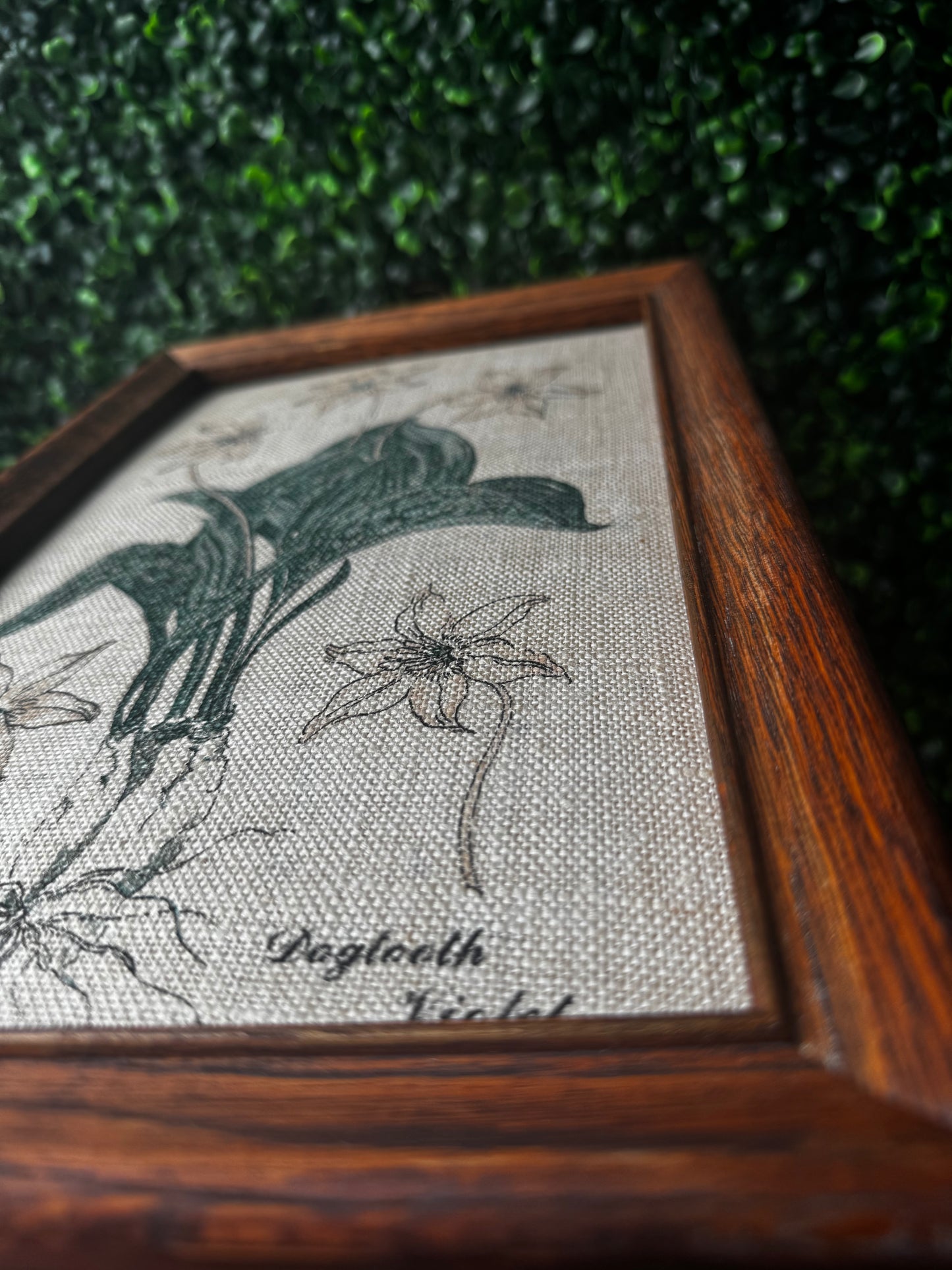 Vintage linen print in wood frame
