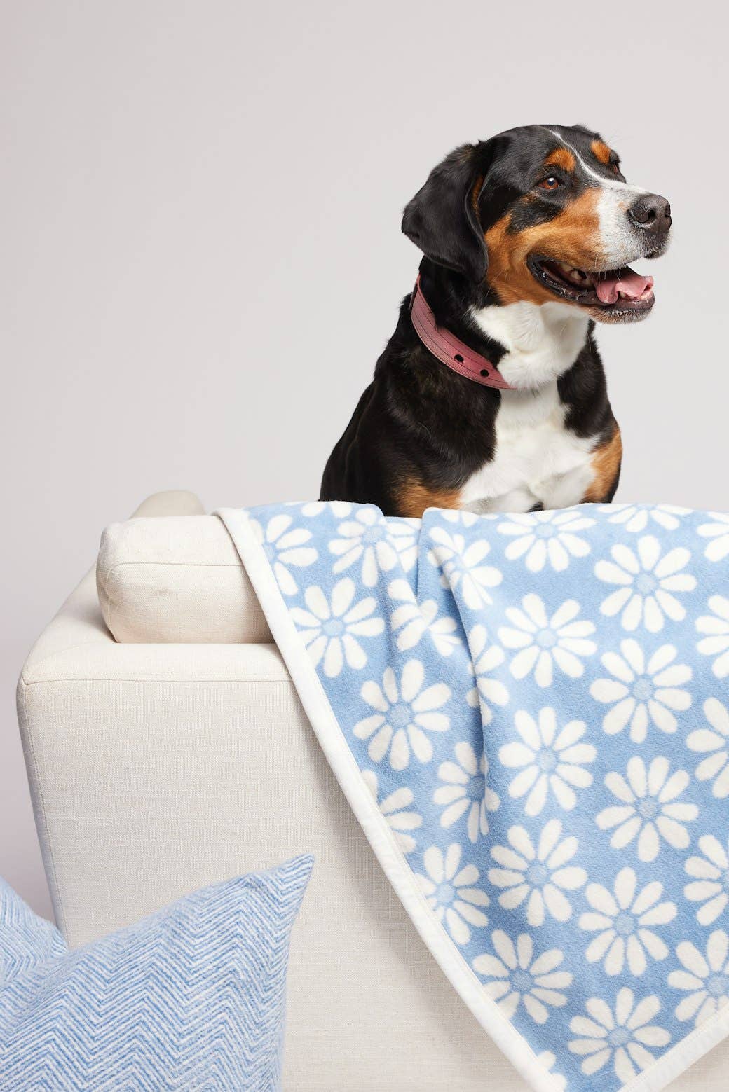 Fresh as a Daisy Fog Midi Blanket